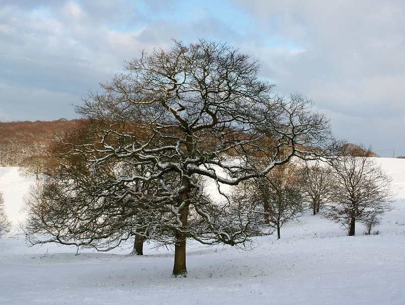 Snow Dawes Rd 1.jpg